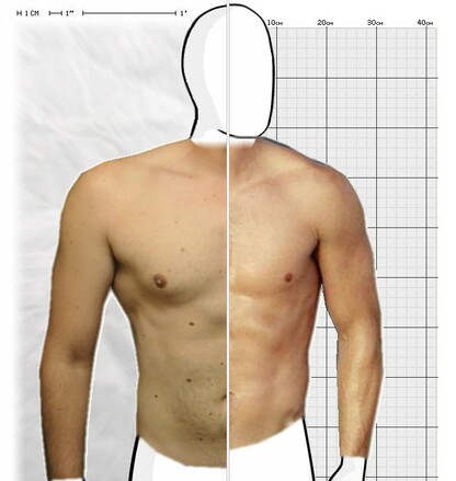 Torso Comparison