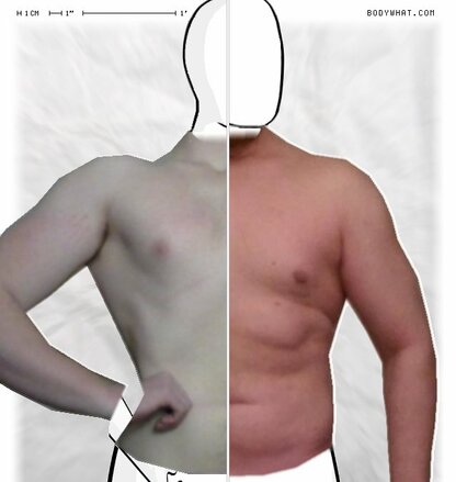 Torso Comparison