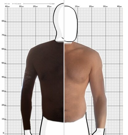 Torso Comparison