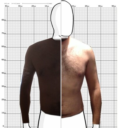 Torso Comparison