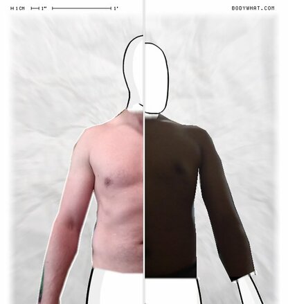 Torso Comparison
