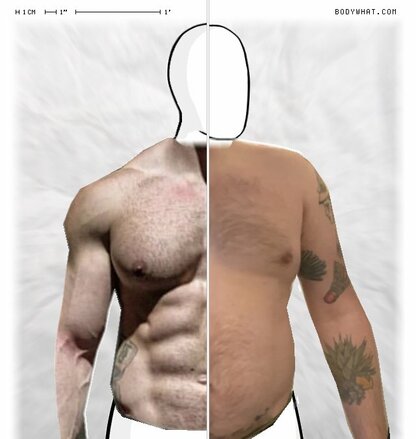 Torso Comparison