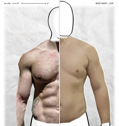 Torso Comparison