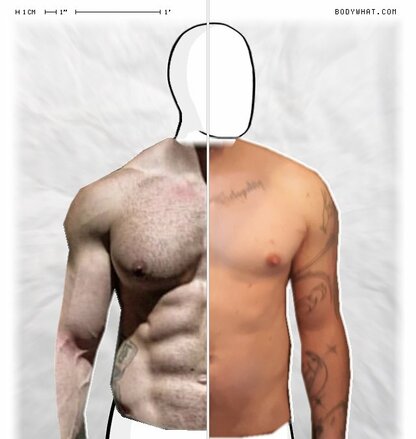 Torso Comparison