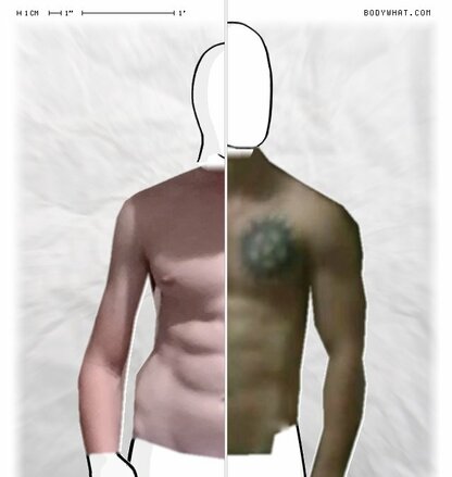 Torso Comparison