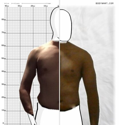 Torso Comparison