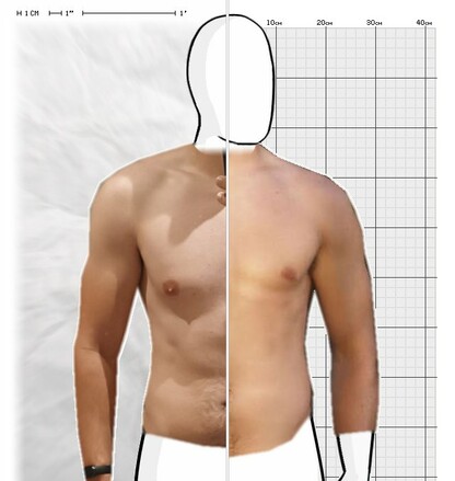 Torso Comparison