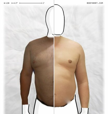 Torso Comparison