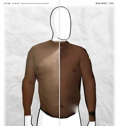 Torso Comparison