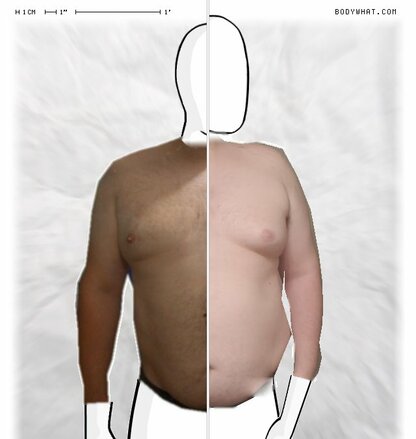 Torso Comparison