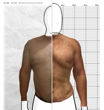 Torso Comparison