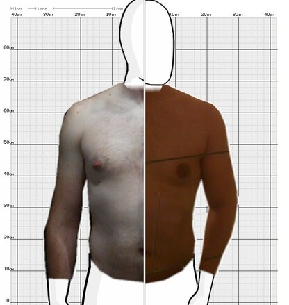 Torso Comparison