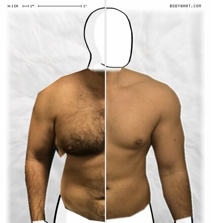 Torso Comparison