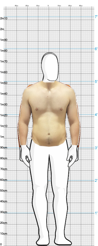 Full Size Comparison