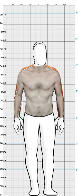 Full Size Comparison