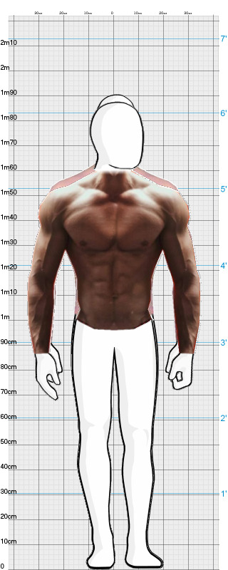 Full Size Comparison