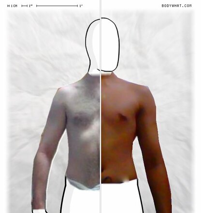 Torso Comparison