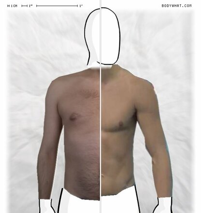 Torso Comparison