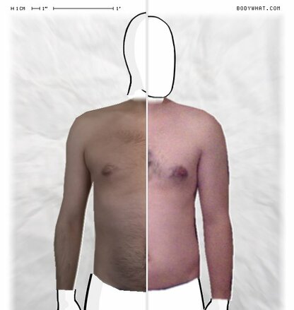 Torso Comparison