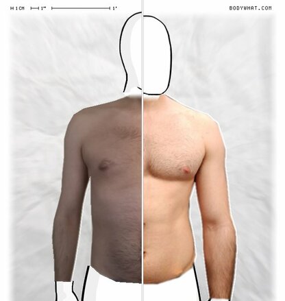 Torso Comparison