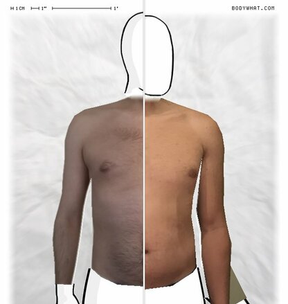 Torso Comparison