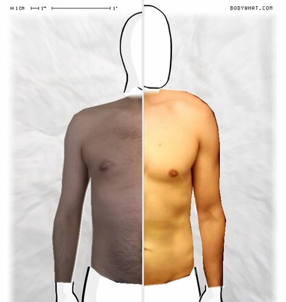 Torso Comparison