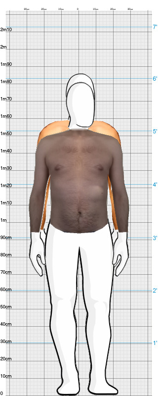 Full Size Comparison