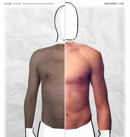 Torso Comparison