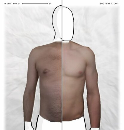 Torso Comparison