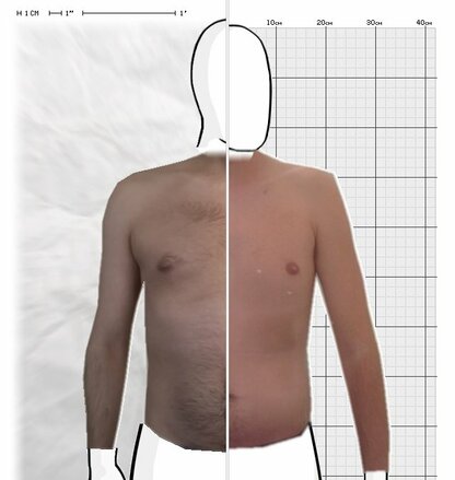 Torso Comparison