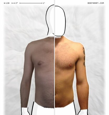 Torso Comparison