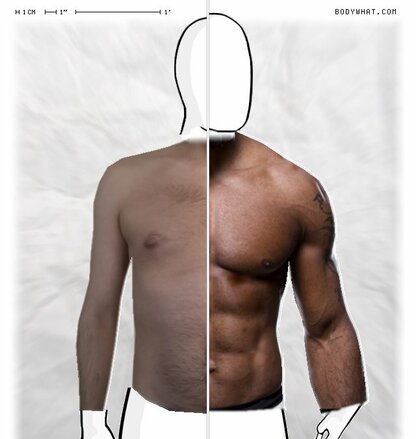 Torso Comparison