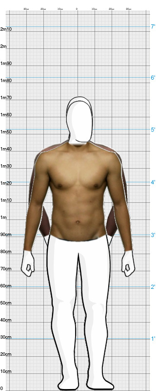 Full Size Comparison