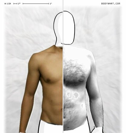 Torso Comparison