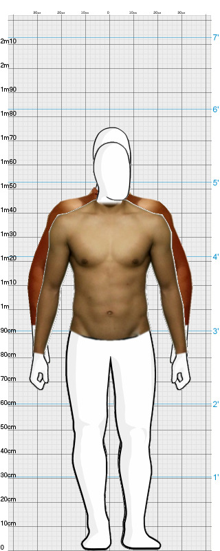 Full Size Comparison