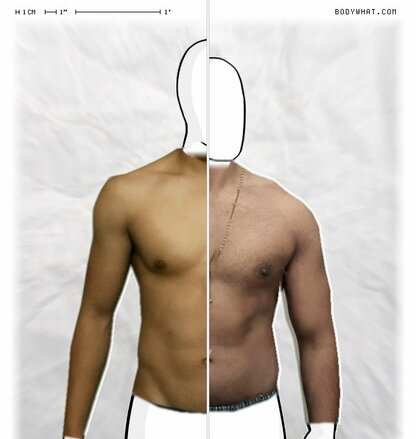 Torso Comparison