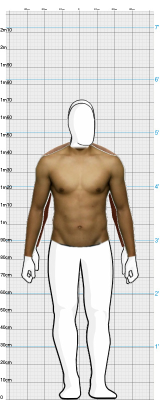 Full Size Comparison