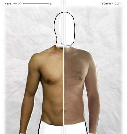 Torso Comparison