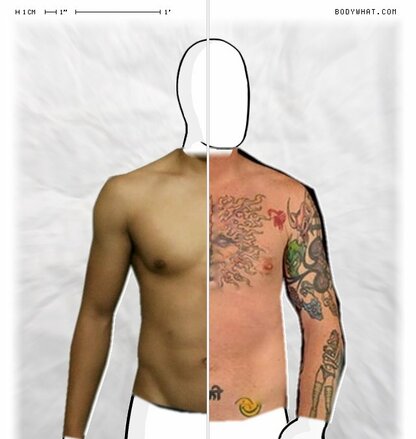 Torso Comparison