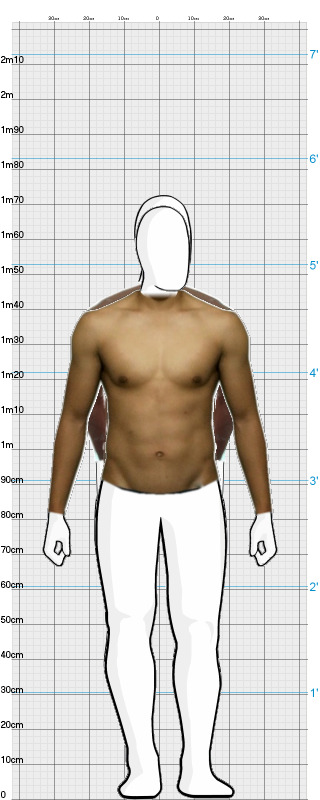 Full Size Comparison