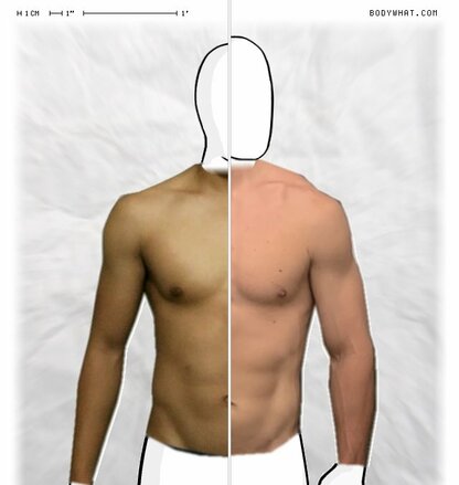 Torso Comparison