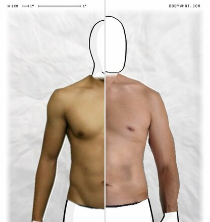 Torso Comparison