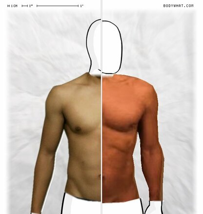 Torso Comparison