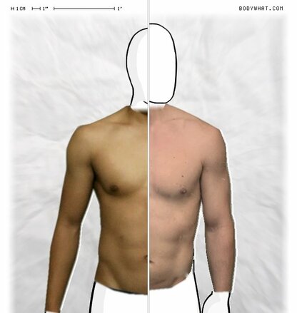 Torso Comparison