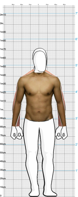 Full Size Comparison