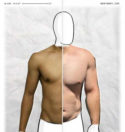 Torso Comparison