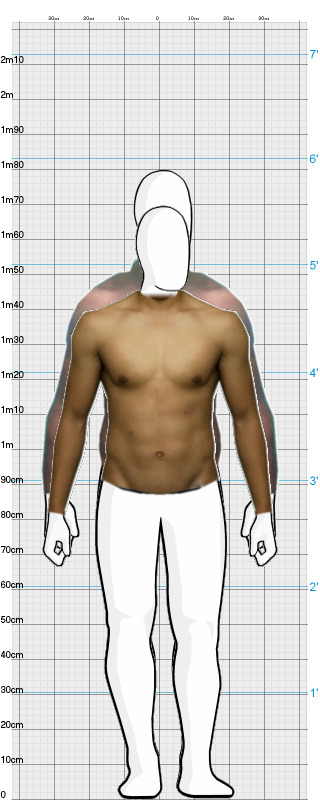 Full Size Comparison