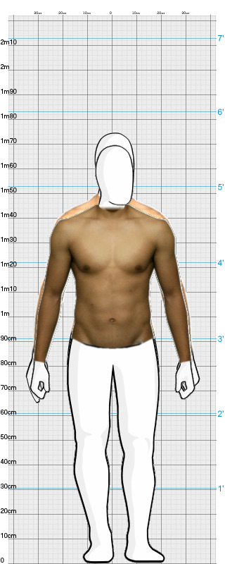 Full Size Comparison