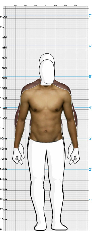 Full Size Comparison