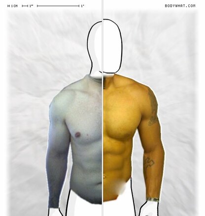 Torso Comparison
